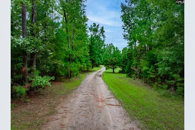 731 Clamp Road, Blythewood, SC 29016 - Photo 75