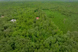 731 Clamp Rd, Blythewood, SC 29016 - Photo 79