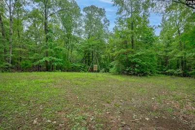 731 Clamp Road, Blythewood, SC 29016 - Photo 67