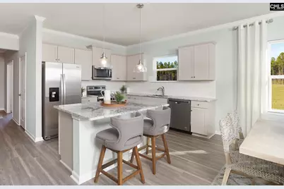 105 Monroe Preserve Drive, Chapin, SC 29036 - Photo 9