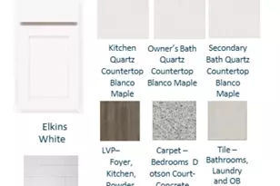 105 Monroe Preserve Dr, Chapin, SC 29036 - Photo 3