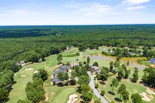 808 Coriander Dr, Blythewood, SC 29016 - Photo 19