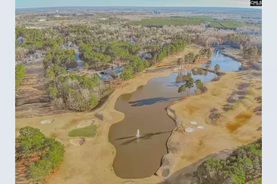 808 Coriander Drive, Blythewood, SC 29016 - Photo 73