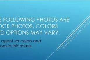 117 Monroe Preserve Dr, Chapin, SC 29036 - Photo 5