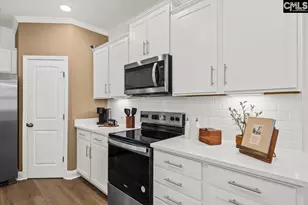 117 Monroe Preserve Dr, Chapin, SC 29036 - Photo 11