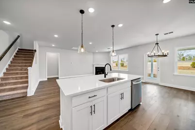 117 Monroe Preserve Drive, Chapin, SC 29036 - Photo 9