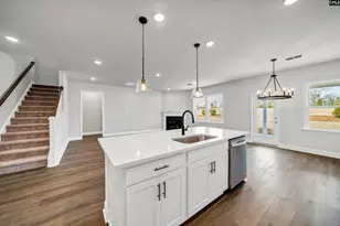 117 Monroe Preserve Dr, Chapin, SC 29036 - Photo 9