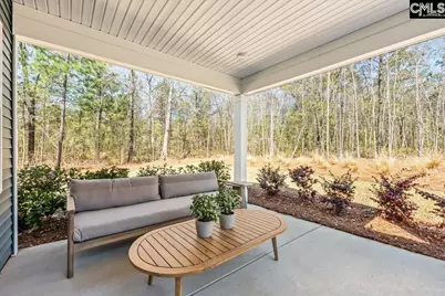 117 Monroe Preserve Drive, Chapin, SC 29036 - Photo 19