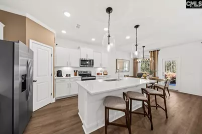 117 Monroe Preserve Drive, Chapin, SC 29036 - Photo 9