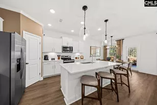 117 Monroe Preserve Dr, Chapin, SC 29036 - Photo 9