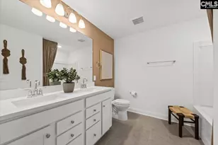 117 Monroe Preserve Dr, Chapin, SC 29036 - Photo 21