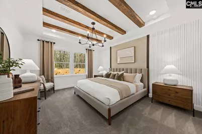 117 Monroe Preserve Drive, Chapin, SC 29036 - Photo 15