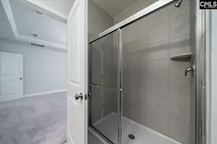 113 Monroe Preserve Dr, Chapin, SC 29036 - Photo 17