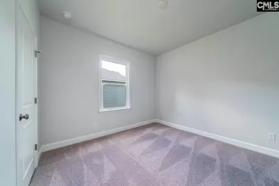 113 Monroe Preserve Drive, Chapin, SC 29036 - Photo 19