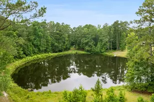 470 Langford Rd, Blythewood, SC 29016 - Photo 49