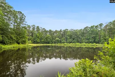 470 Langford Road, Blythewood, SC 29016 - Photo 49