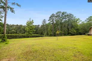470 Langford Rd, Blythewood, SC 29016 - Photo 47
