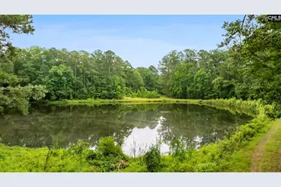 470 Langford Road, Blythewood, SC 29016 - Photo 51
