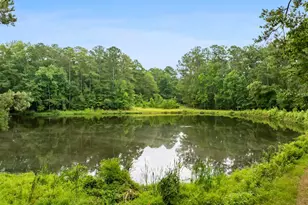 470 Langford Rd, Blythewood, SC 29016 - Photo 51