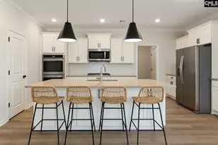 337 Rising Stream Wy, Chapin, SC 29036 - Photo 3