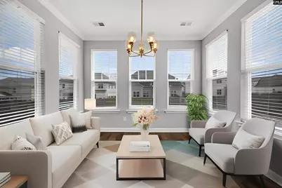 1318 Portrait Hill Drive, Chapin, SC 29036 - Photo 19