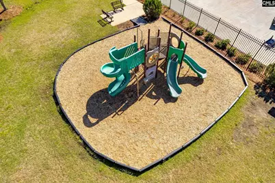 1318 Portrait Hill Drive, Chapin, SC 29036 - Photo 55