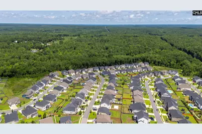 1318 Portrait Hill Drive, Chapin, SC 29036 - Photo 51