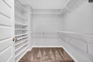 1318 Portrait Hill Dr, Chapin, SC 29036 - Photo 33