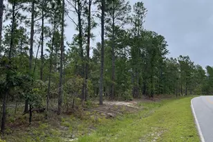 1870 Henry Davis Road 1, Cassatt, SC 29032 - Photo 1