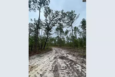 1870 Henry Davis Road 1, Cassatt, SC 29032 - Photo 5