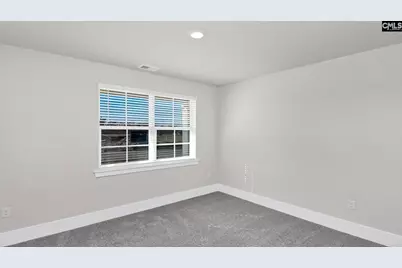 234 Livingston Woods Drive, Irmo, SC 29063 - Photo 7