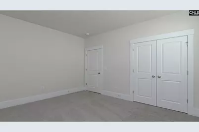 234 Livingston Woods Drive, Irmo, SC 29063 - Photo 13