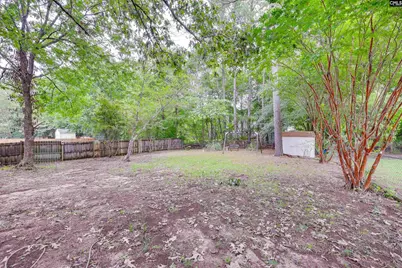 804 Riverwalk Way, Irmo, SC 29063 - Photo 37