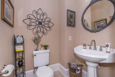 251 Edgewood Drive, Chapin, SC 29036 - Photo 45
