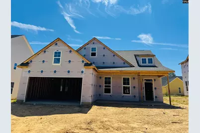 403 Rising Stream Way, Chapin, SC 29036 - Photo 1