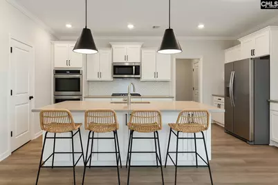 403 Rising Stream Way, Chapin, SC 29036 - Photo 3