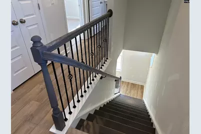 407 Rising Stream Way, Chapin, SC 29036 - Photo 19