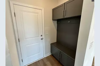 407 Rising Stream Way, Chapin, SC 29036 - Photo 11