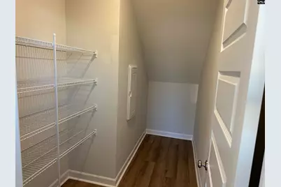 407 Rising Stream Way, Chapin, SC 29036 - Photo 29