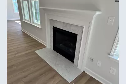 407 Rising Stream Way, Chapin, SC 29036 - Photo 5