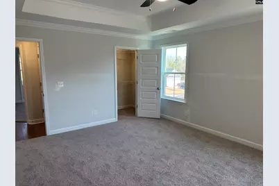 407 Rising Stream Way, Chapin, SC 29036 - Photo 13