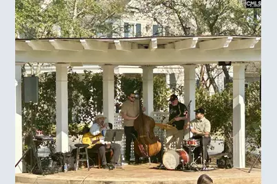 202 Waterstone Drive, Lexington, SC 29072 - Photo 3