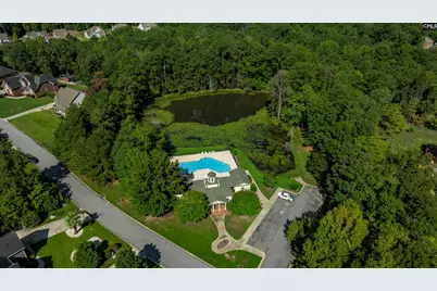 3 Ellafair Lane, Blythewood, SC 29016 - Photo 29