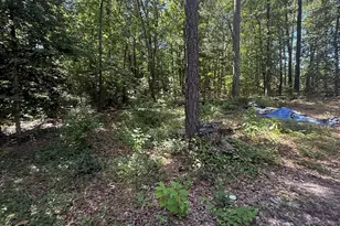 1503 Spears Creek Rd, Lugoff, SC 29078 - Photo 1