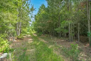 605 W Church St, Batesburg, SC 29006 - Photo 13