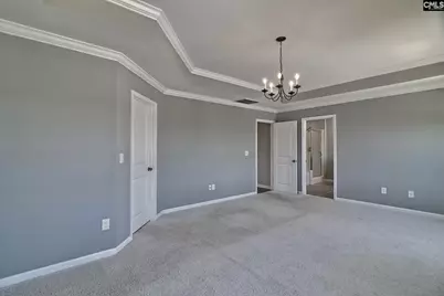 806 Bergenfield Lane, Chapin, SC 29036 - Photo 19