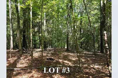 155A Torrey Pines, Chapin, SC 29036 - Photo 5