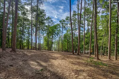 1148 Shull Island Road, Gilbert, SC 29054 - Photo 13