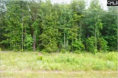 450 Neeses Highway, Neeses, SC 29107 - Photo 1