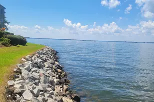 1441 Old Chapin Road 123, Lexington, SC 29072 - Photo 61